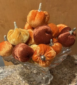 SAMT MINI KÜRBISSE KÜRBISSE 2" HERBST THANKSGIVING SCHÜSSEL FÜLLER BASTELN - Bild 1 von 9