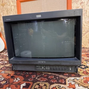 Vintage Sony PVM-20S1WE Trinitron Colour Video Monitor Professional CRT Gaming - Picture 1 of 8