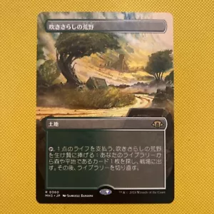 Windswept Heath Borderless MH3 MTG JPN Modern Horizons3 NM - Picture 1 of 2