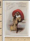 1888 SPENCER OPTICAL MFG Co. Correct Your Sight! #139 Dog w/ Monocle Trade Card