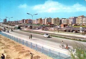 CARTOLINA Lido di Sottomarina Strada della Lepre 1971 n. 331 v.ta - Imagen 1 de 2