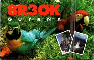 Amateurfunk CQ QSL QSO POSTKARTE 8R30K GEORGETOWN GUYANA S AMERIKA 1997 PAPAGEIEN - Bild 1 von 5