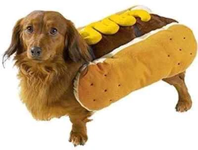 Hot Diggity Dog Costume - Mustard - Image 1 of 2