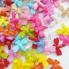 50pcs/pack Dragonfly Plastic Dyed Buttons 15*20mm Cartoon Flies Coat Button Sewi