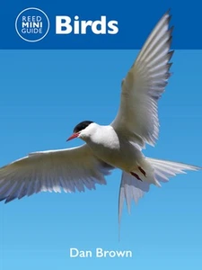 Reed Mini Guide: Birds by Dan Brown Paperback Book - Picture 1 of 1
