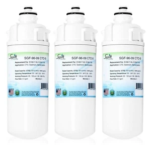 Swift Green SGF-96-09 CTO-B Replacement For Everpure EV9617-06 Filter (3 Pack) - Picture 1 of 6