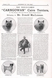CAIRN TERRIER NUESTROS PERROS 1925 CAIRNGOWAN PERRERA PERRO RAZA ANUNCIO PÁGINA IMPRESA b217 - Imagen 1 de 1