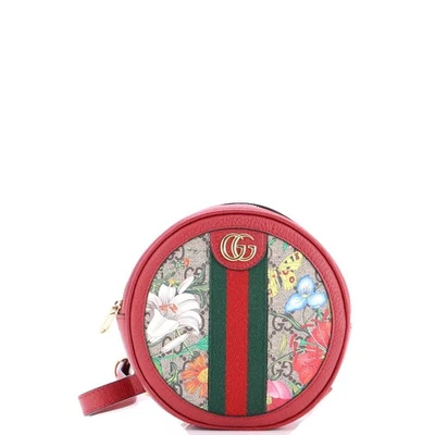 Mochila redonda Ophidia Flora Gg lona recubierta mini #199110G84B Foto 1 de 4
