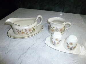 M&S AUTUMN LEAVES GRAVY BOAT AND MILK JUG + SALT AND PEPPER NICE AND CLEAN VGC - Picture 1 of 8