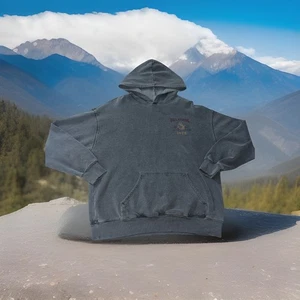 Felpa con cappuccio Billabong riciclata surf grigio pullover uomo media BMX sbiadita look vintage - Foto 1 di 24