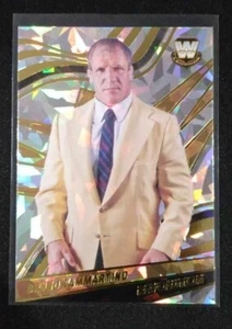 2022 WWE Revolution Bruno Sammartino Fractal Holo Foil SP Parallel Legend Mint - Picture 1 of 4