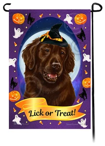 Halloween Garden Flag - Liver Flat-Coated Retriever - Picture 1 of 1