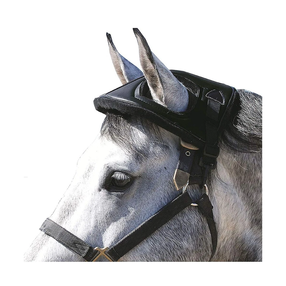 Casco de caballo Cashel, negro Foto 1 de 1