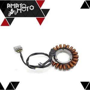 ELECTROSPORT Estator Para Ducati Diavel 1200 14-17 - Imagen 1 de 1