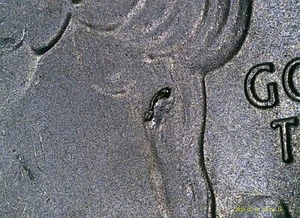 2019-P River of No Return Die Chip Grease Strike Quarter Error - Picture 1 of 6