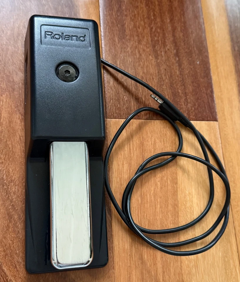 Roland DP-10 Deluxe Sustain Pedal Works Great - Image 1 of 4