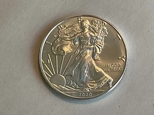 2020 American Silver Eagle .999 1 OZ Frosty White Gem Uncirculated Bullion Coin - Picture 1 of 2