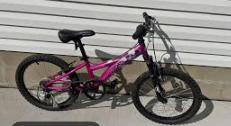20 Inch Diamondback Tess Mountain Bike  - Image 1 of 1