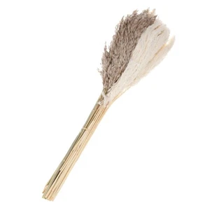 30 Pcs Faux Pampas Grass28"/70cm Fake Pampas Grass Decor for Living Room Part... - Picture 1 of 5