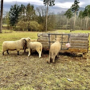 Heuraufe große Kapazität schwarz platzsparendes Heufutterhaus für Pferde Schafe Kuh - Bild 1 von 6