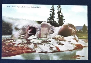 Grotto Geyser Yellowstone Nat'l Park Wyoming W Postcard PC 1920s Unused - Picture 1 of 1