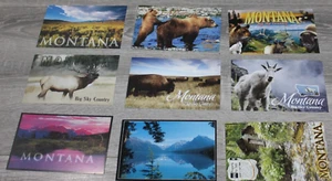 LOTTO DI 9 CARTOLINE MONTANA BIG SKY COUNTRY 4" X 6" - Foto 1 di 13