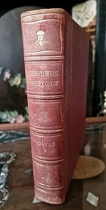 Wild Flowers As They Grow ~ Volume II ~ VGC~ Illustrated Antique Hardback Book - Picture 1 of 24