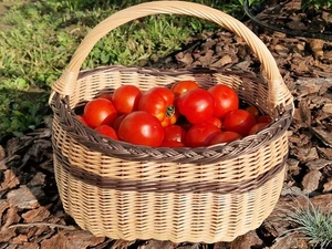 Heavy-Duty Foraging Wicker Basket – Two-Tone Wicker Market Tote for Mushroom - Picture 1 of 13