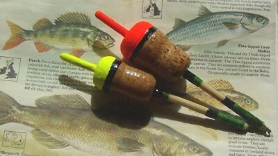 DUE GALLEGGIANTI INGLESI VECCHIA SCUOLA LUCCIO/SALMONE - Immagine 1 di 4