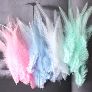 50x Natural Feathers Pheasant Chicken Rooster Trimmings Craft Costume Decorative - Picture 1 of 48