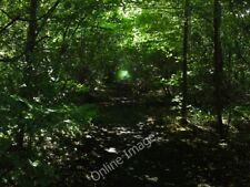 Photo 6x4 Green tree tunnel Shirebrook A lovely tunnel of foliage on the  c2009