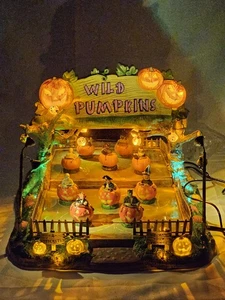 LEMAX Wild Pumpkin Ride SPOOKY TOWN Halloween Dorfhaus getestet funktioniert - Bild 1 von 15