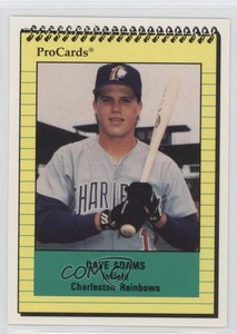 1991 ProCards Minor League Dave Adams #99