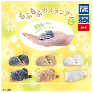 Gacha fluffy Pomeranian Set of 4 Capsule Toy Figure japan NEW - Picture 1 of 9