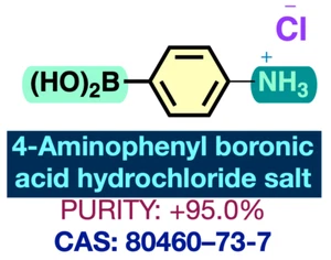 4-Aminophenylboronic acid hydrochloride salt | CAS: 80460-73-7 | +95.0% - Picture 1 of 2