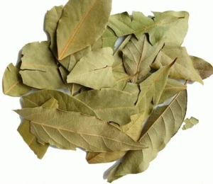 Wild Crafted Bay Leaf Dried Cut Leaves ~ Laurus Nobilis ~ 100% Premium - Picture 1 of 1