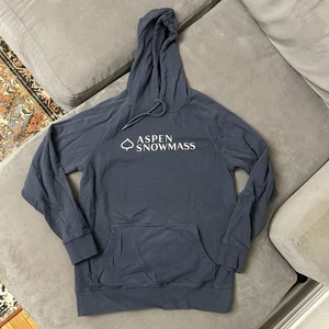 Aspen Snowmass AspenX Leaf Cotton Pullover Hoodie Sweatshirt Navy Blue M - Picture 1 of 7
