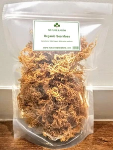 Musgo marino grado Dr. Sebi cultivado en el océano musgo irlandés costura artesanal naturaleza tierra - Imagen 1 de 9