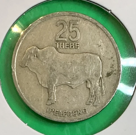 1977 Botswana 25 Thebe Cow Cattle Animal Wildlife Coin Money Cover