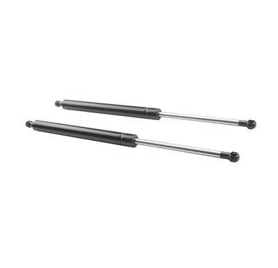 2 X Rear Tailgate For Scion tC 2005 2006 2007-2010 Lift Supports Shock Struts - Image 1 of 4