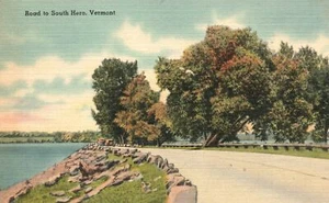 Road To South Hero Vermont VT Lake Landscape Vintage Postcard - Picture 1 of 2