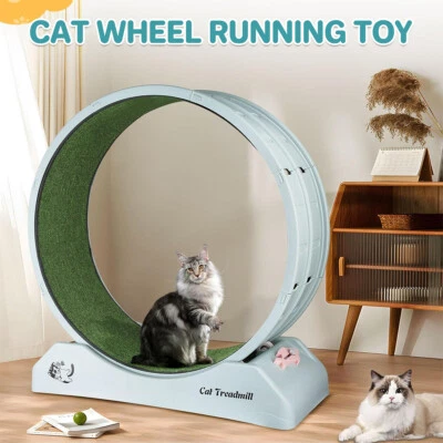 Premium Cat Exercise Wheel Silent Indoor Treadmill for Cats Easy Assembly AU - image 1 of 4