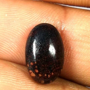 100% Natural Dinosaur Bone Oval Cabochon Gemstone 05.50Cts 08x 13x 05mm - Picture 1 of 3