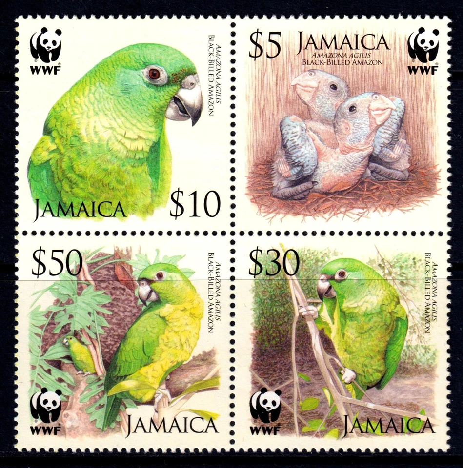 Jamaica 2006 Amazon Parrot - WWF Completo Como Nuevo MNH Conjunto Bloque SC 1054-1057 Foto 1 de 1