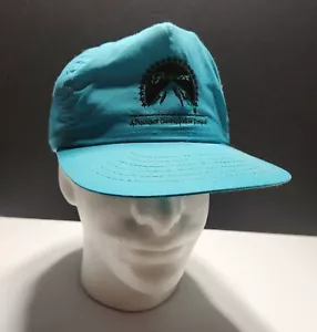 Paramount Communications Company Pictures Snapback VTG Teal Hat Cap Movies Film - Picture 1 of 10