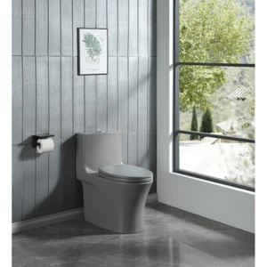 Dual flush integrated toilet, water-saving floor-standing style, soft-close seat - Picture 1 of 21
