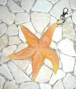 ★ DIY ★ Taschenanhänger ★ XXL SEESTERN ★ orange ★ - Bild 1 von 2