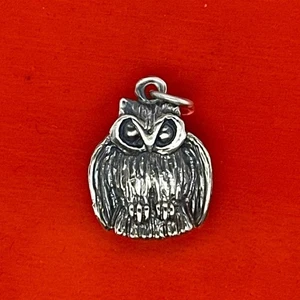 Retired HTF James Avery Sterling Silver 3D Owl Pendant - Picture 1 of 3