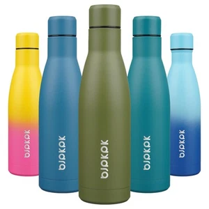 17oz Insulated Water Bottles Stainless Steel Sports Water Bottles Keep Cold a... - Picture 1 of 6
