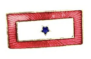 Tiny Son in the Service Pin WWI Era - Picture 1 of 4